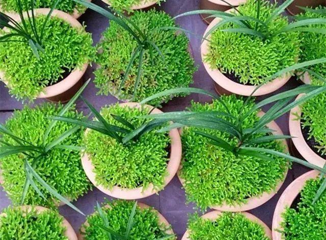 milan米兰app官网_“我养你”,才是世界上最毒的情话(图1) milan米兰app官网