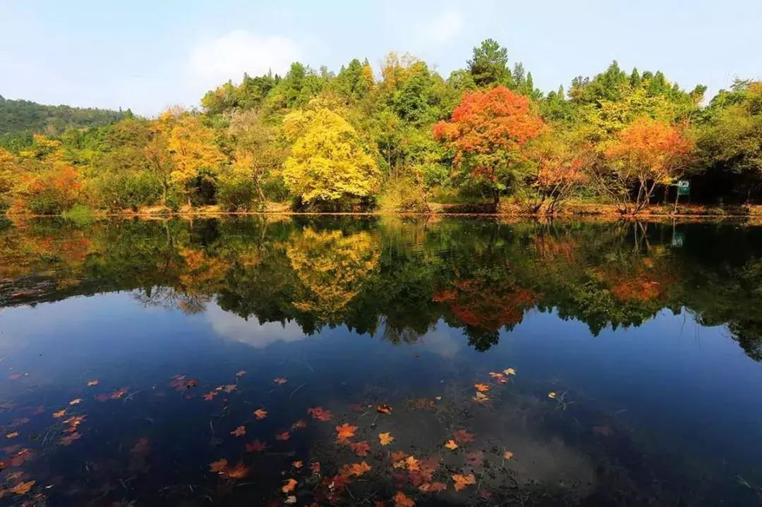 milan米兰app官网