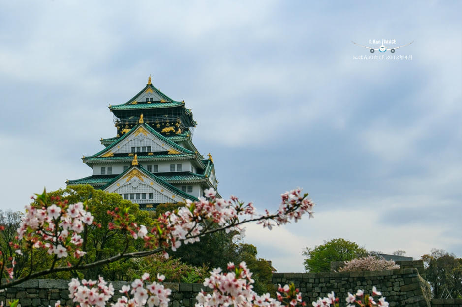 ‘milan米兰app官网’夏季美食:青椒肉丝炒面、青椒炒鸡腿肉、红椒扁豆丝的做法(图3) milan米兰