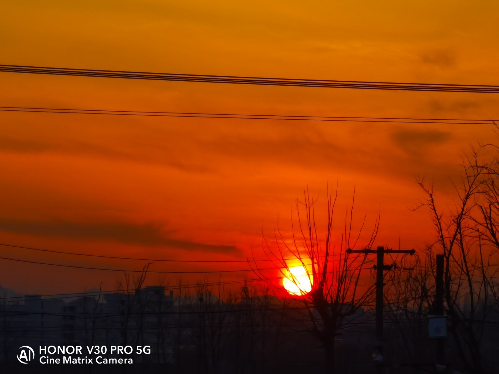 感恩节,感谢一路有你!|米兰官方网站(图2) milan米兰app官网