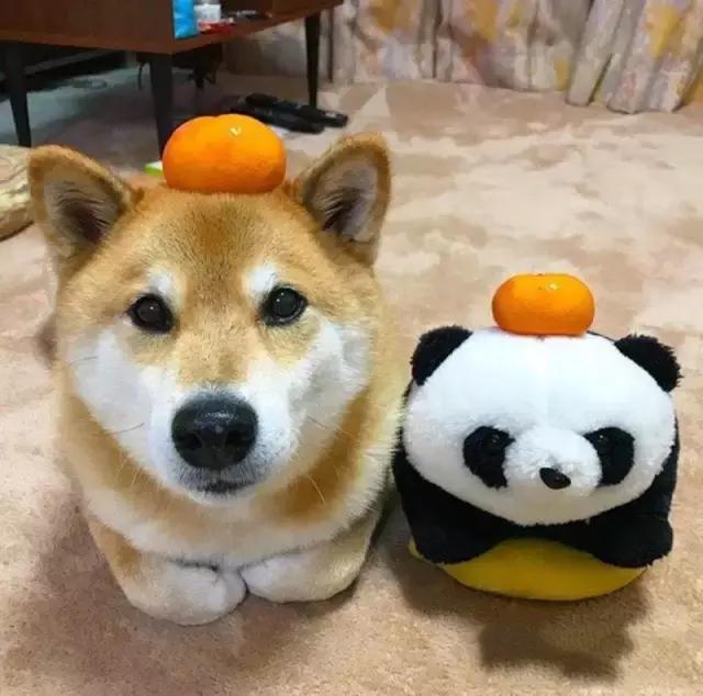 milan米兰app官网